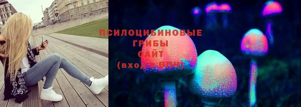 ГАЛЛЮЦИНОГЕННЫЕ ГРИБЫ Алексеевка