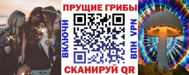 Псилоцибиновые грибы GOLDEN TEACHER  Брянск 